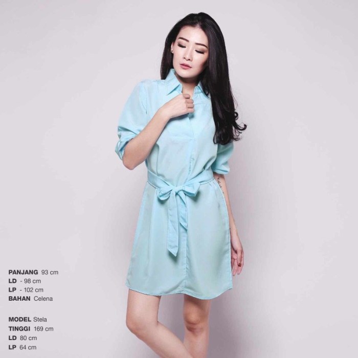 Light blue women's dress shirt